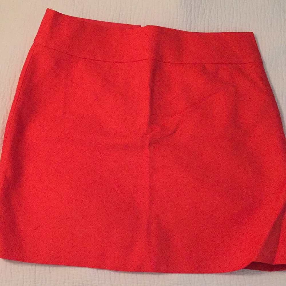 Jcrew Skirt